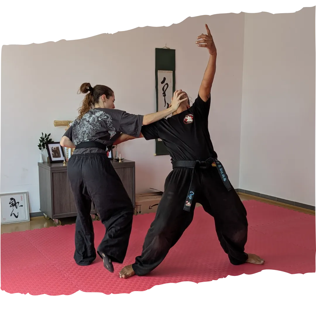 Bujinkan Sant Cugat Contacto