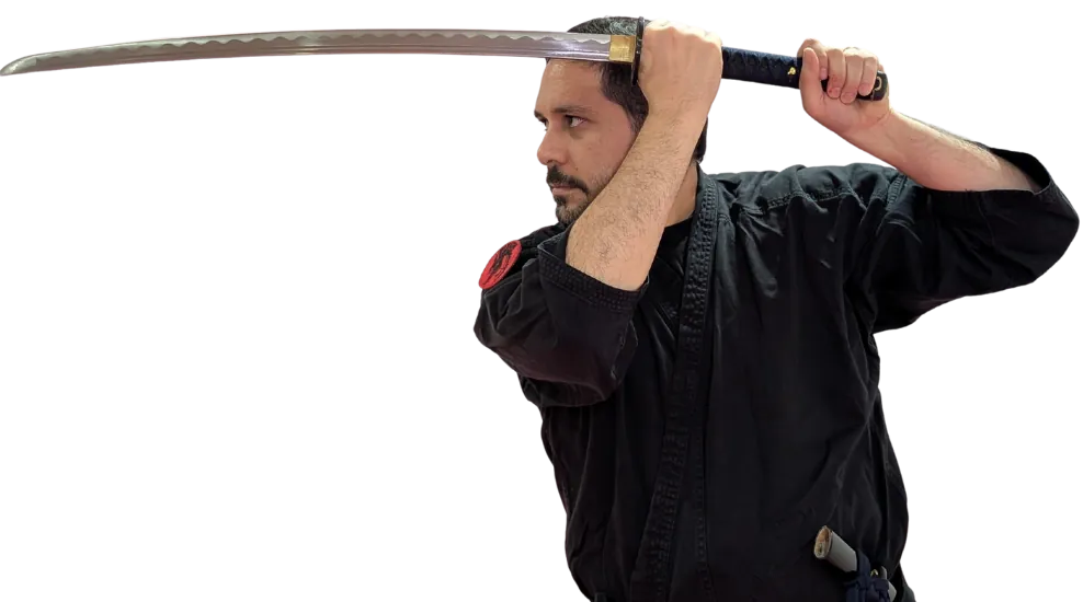 Bujinkan Training